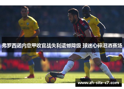 弗罗西诺内意甲收官战失利遗憾降级 球迷心碎泪洒赛场